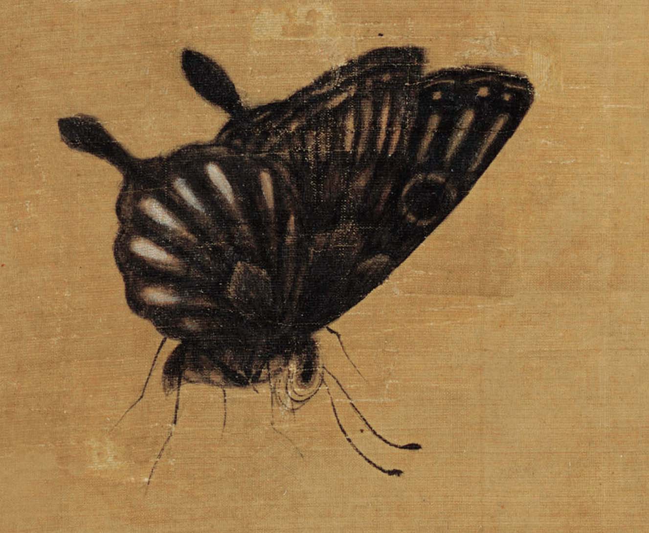 Buy Chinese Antique Art Painting 明文俶秋花蛱蝶图Ming Wen Chu Flower