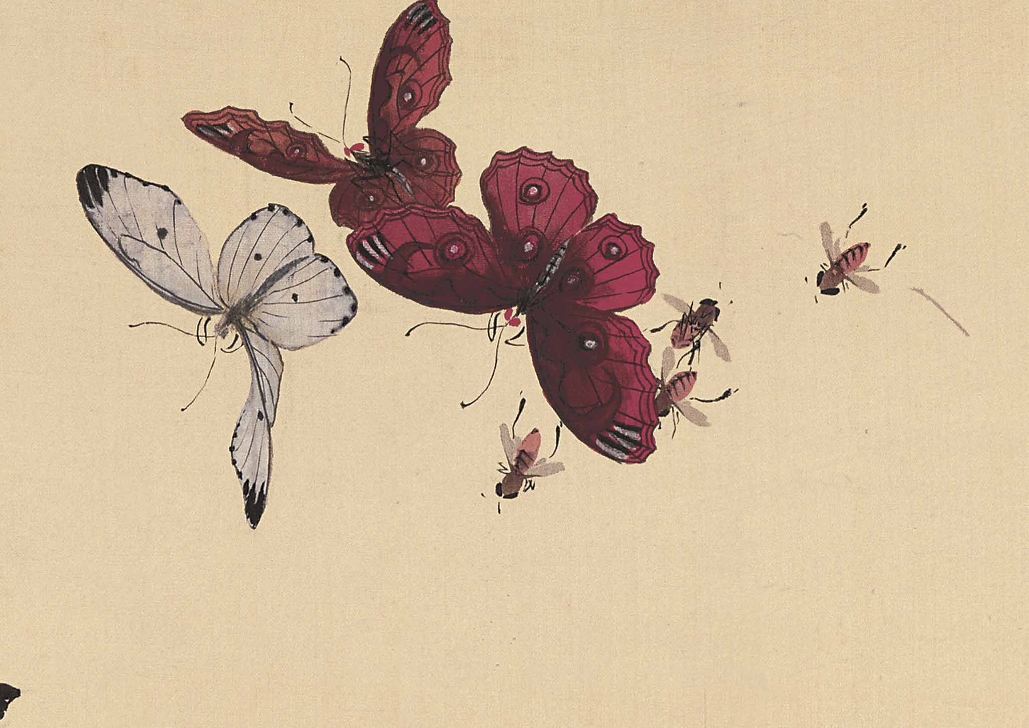 Buy Chinese Antique Art Painting 清居廉富贵白头Qing Ju Lian