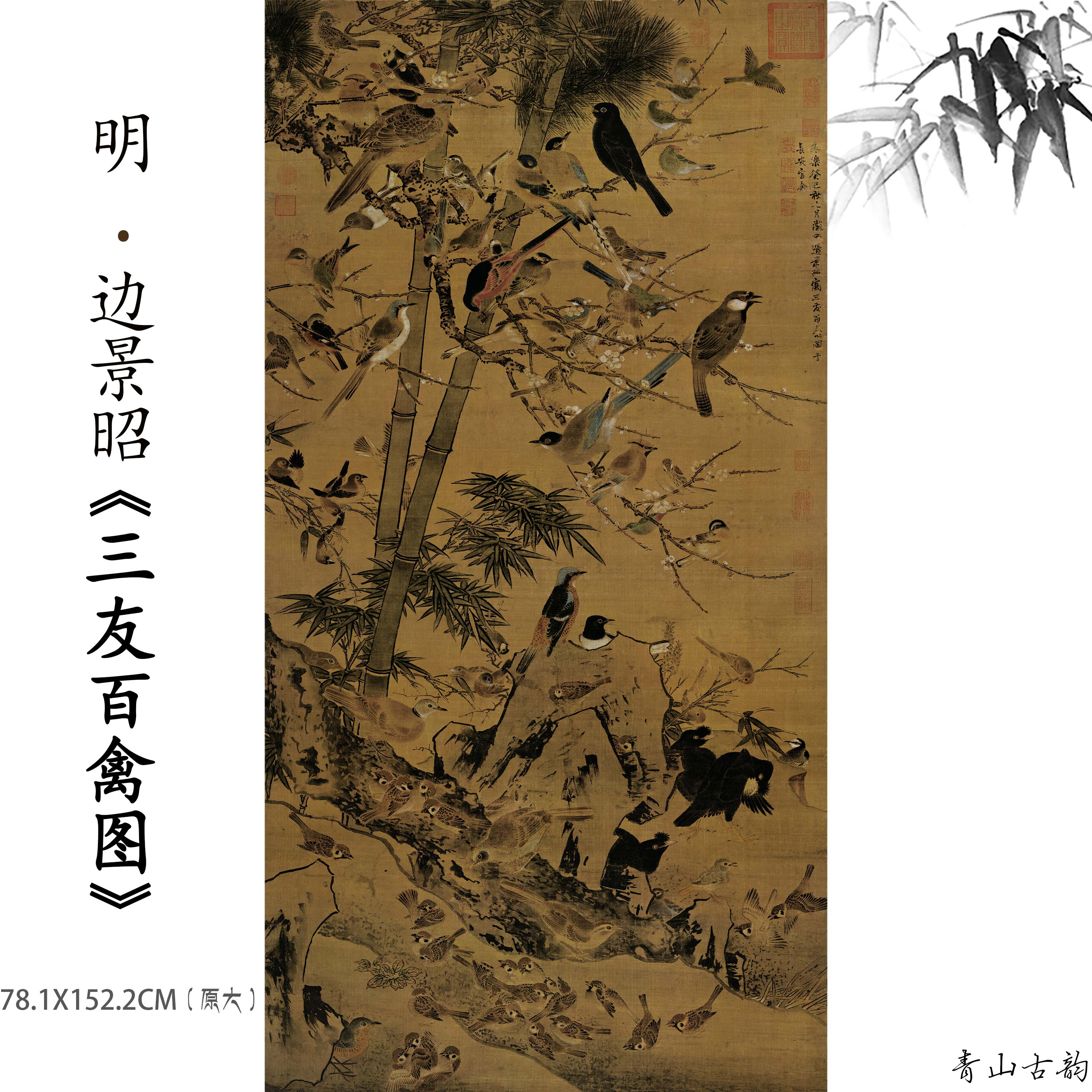 Chinese Antique Art Painting 1:1 明 边景昭 三友百禽图 Ming Bian Jingzhao San You Bai Qin