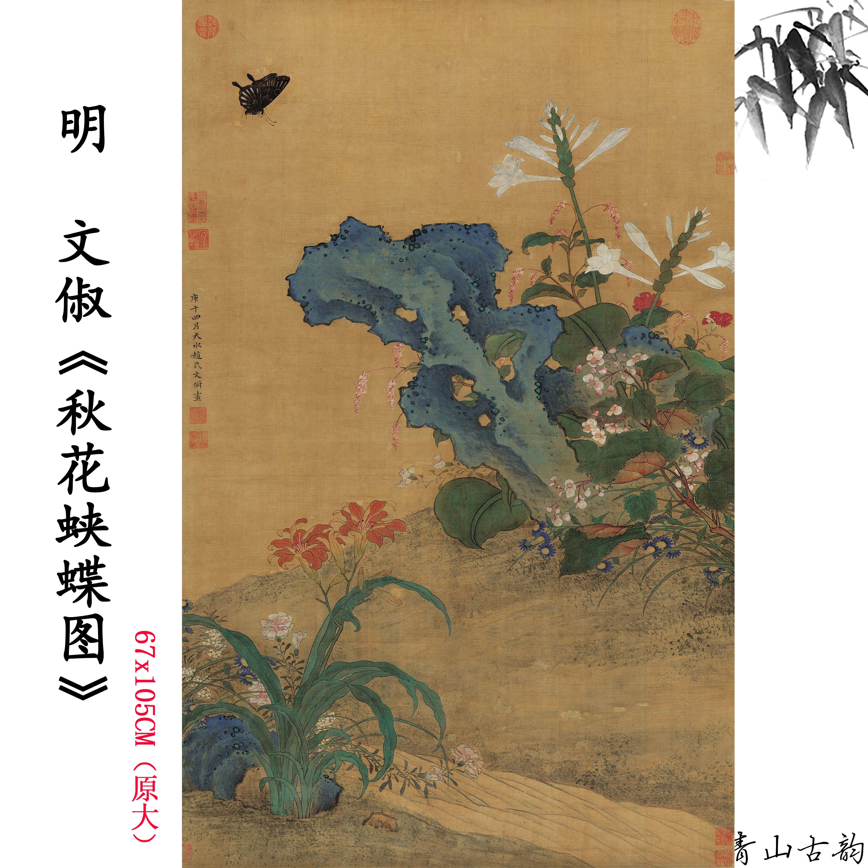 Chinese Antique Art Painting 明 文俶 秋花蛱蝶图 Ming Wen Chu Flower Butterfly