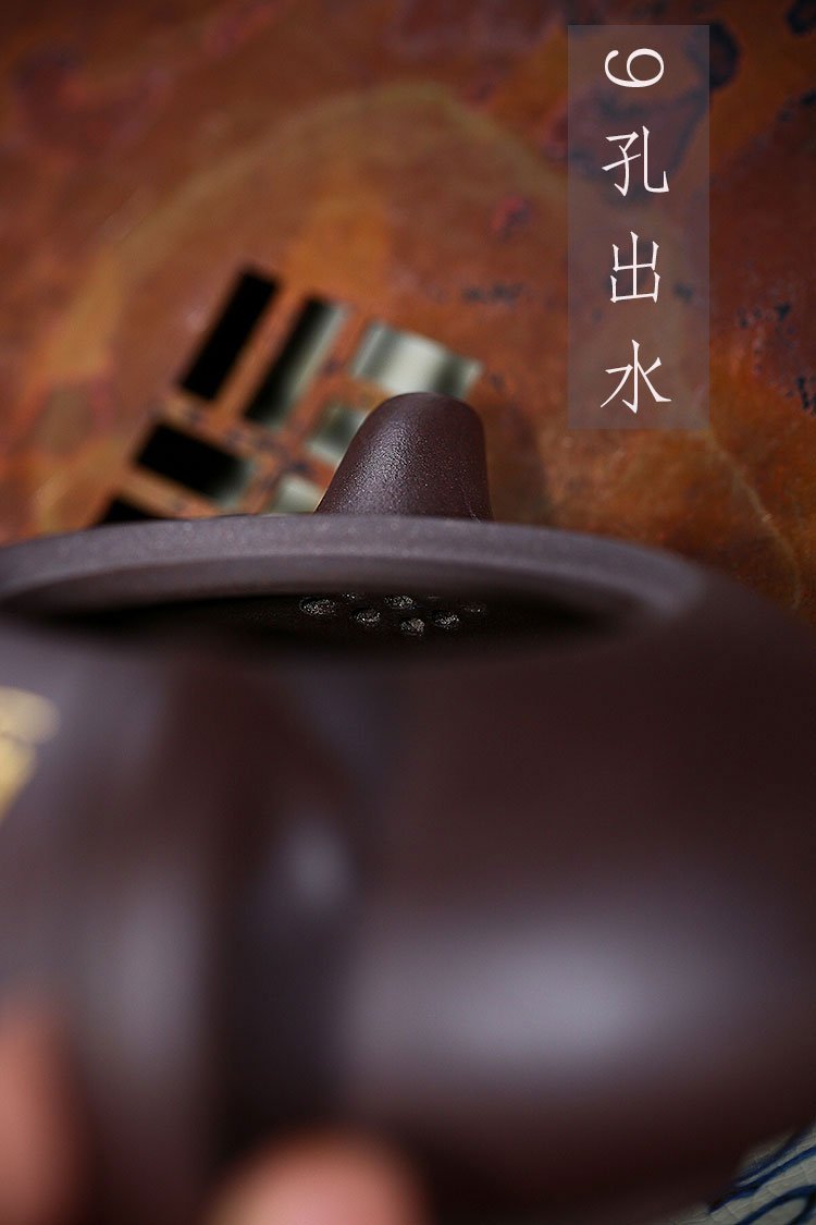 Handmade Yixing Teapot 220cc Purple Clay Zisha Pot Carving Writing Tea Pot